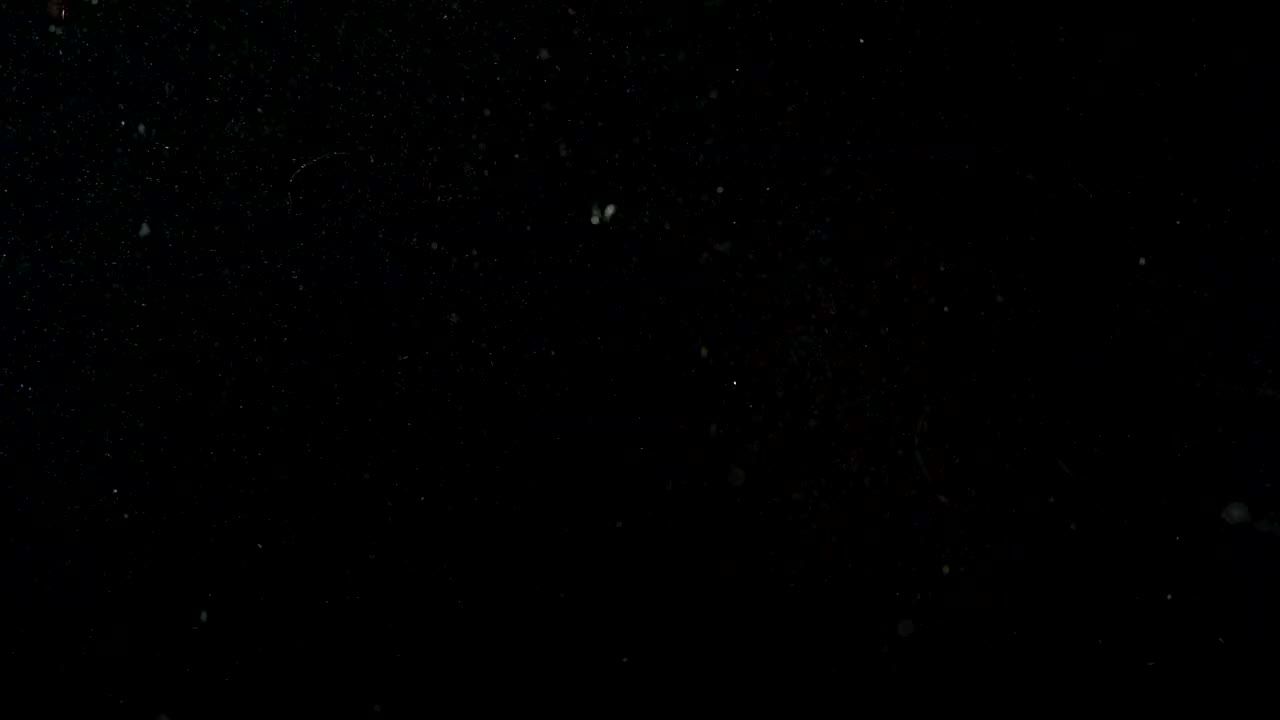 水果苹果梨子香蕉 10