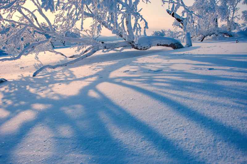 冰雪雾凇 2