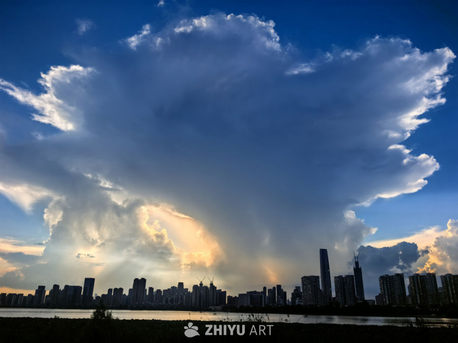 漠漠水田飞白鹭，阴阴夏木啭黄鹂