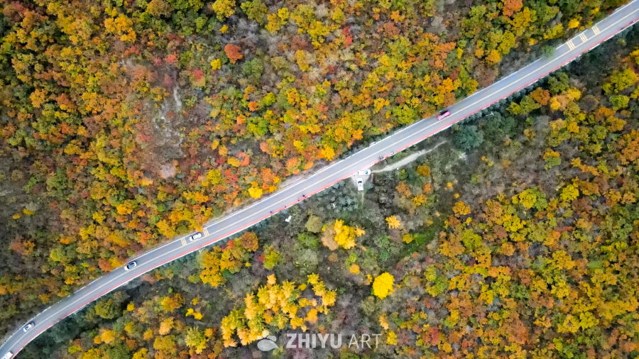 兰州七里河区云顶山秋景 23
