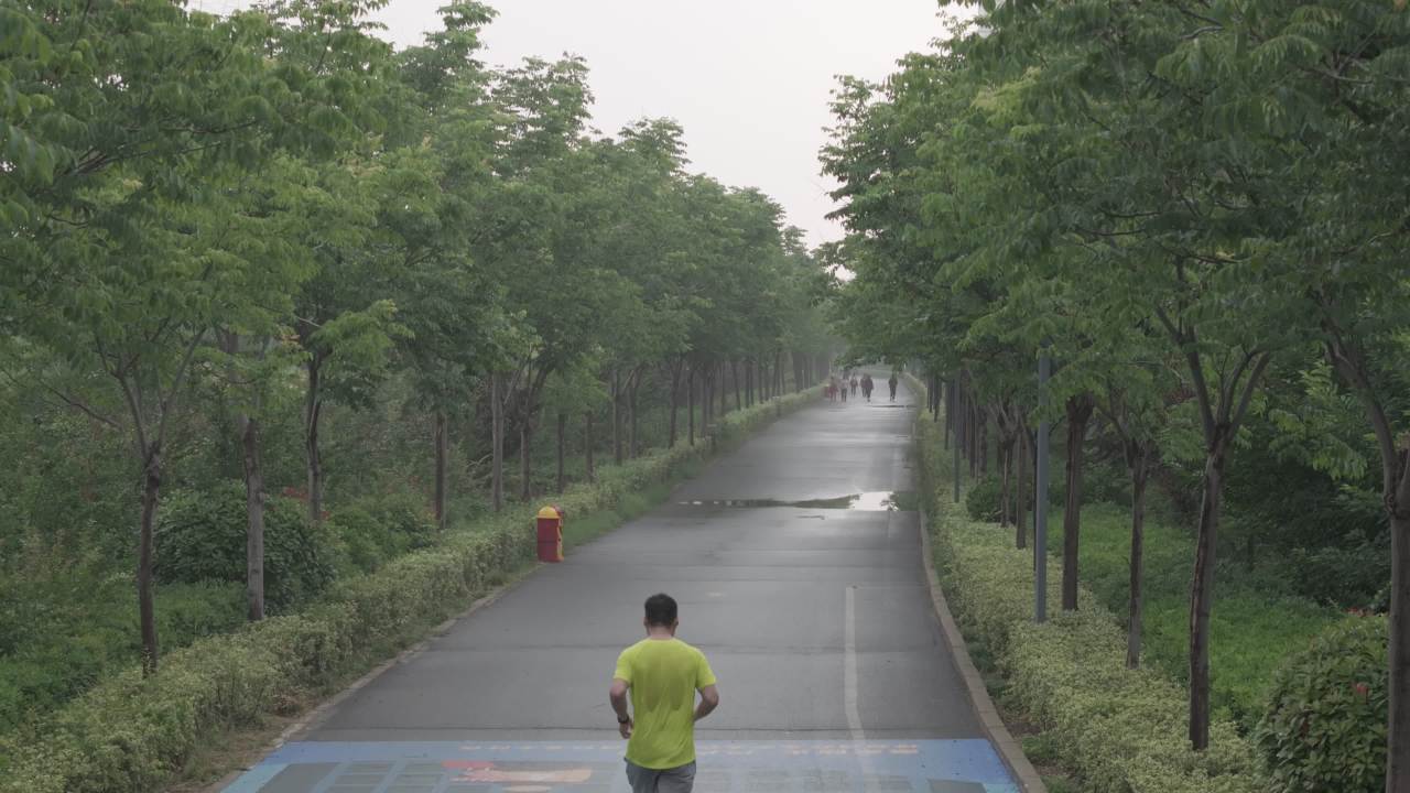 晨跑中的城市绿意