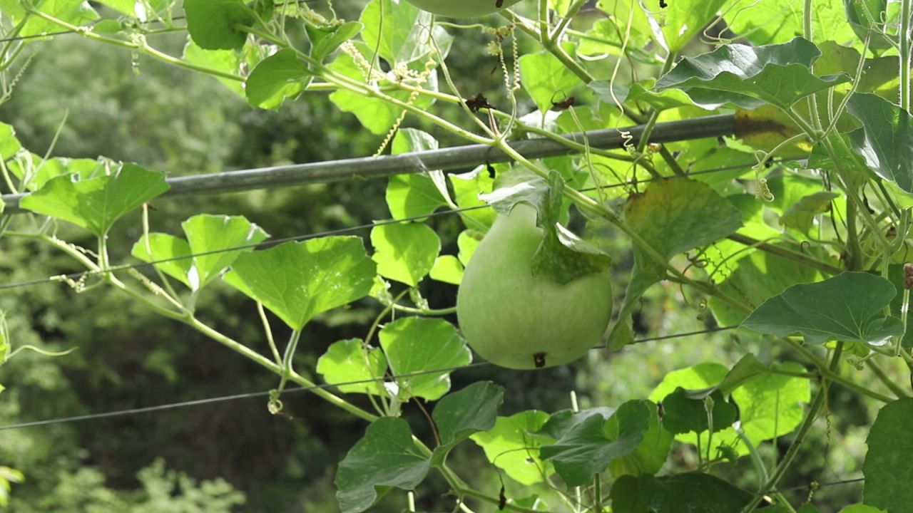 产业 41