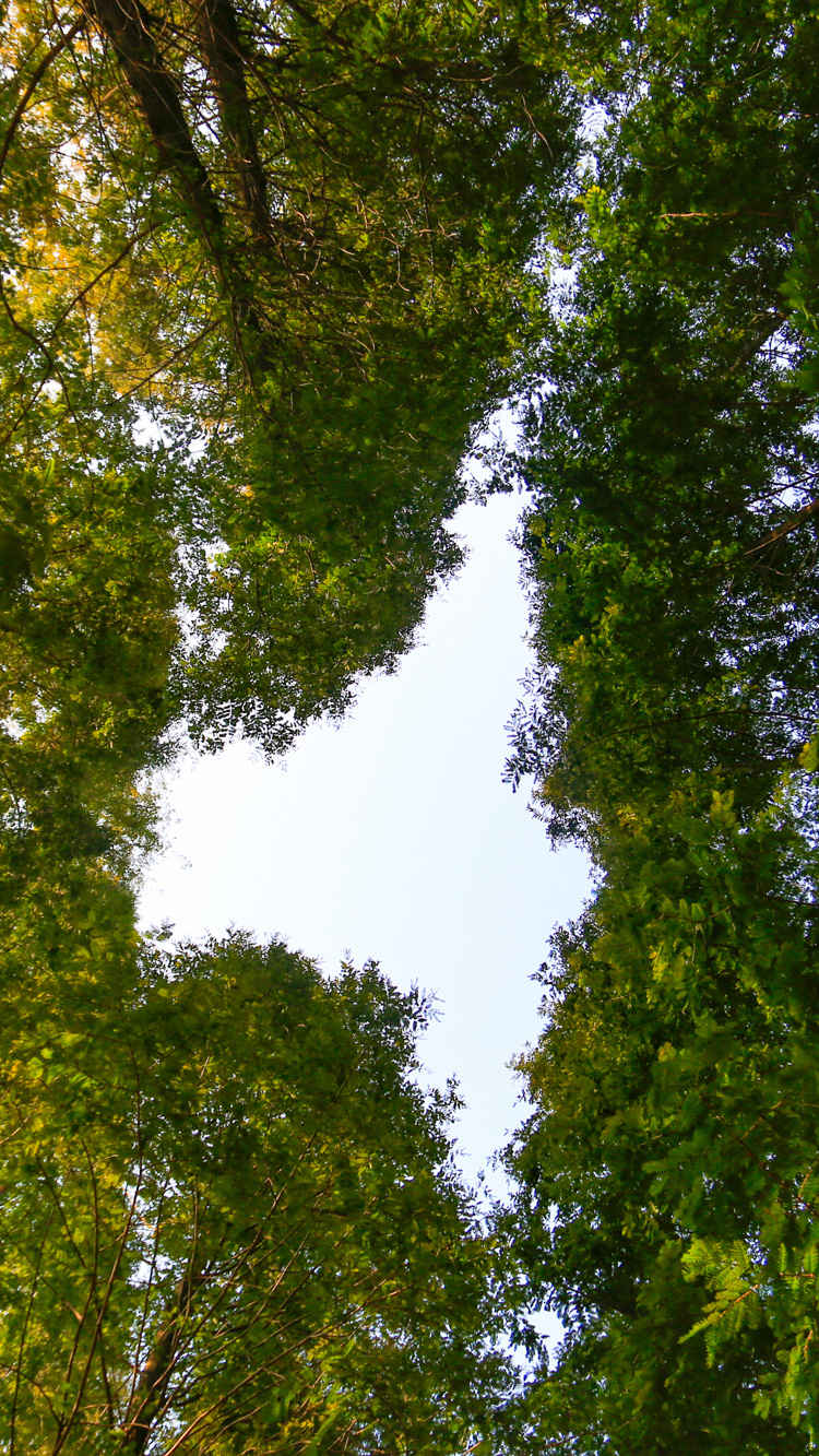 仰望天空