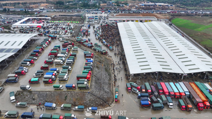 航拍贵州畜牧交易市场 牛市交易 14