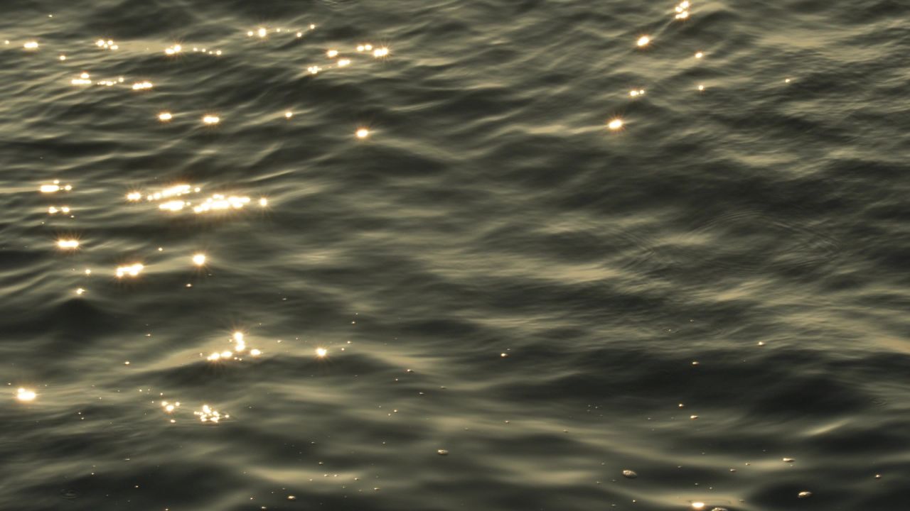 日出照海