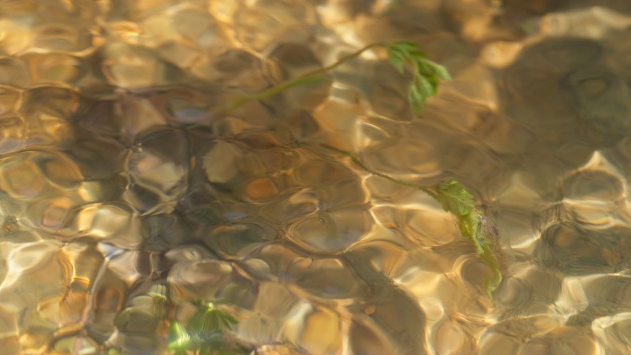 山泉水矿泉水潺潺小溪流水瀑布 4