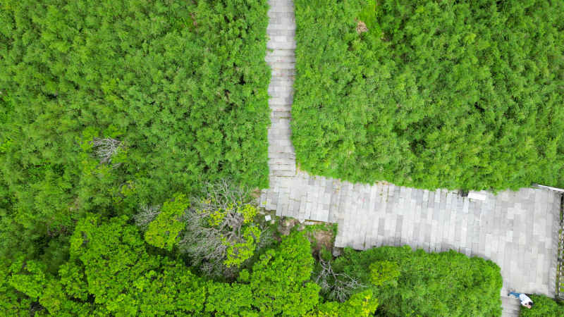 航拍湖北神农架景区神农谷登山台阶