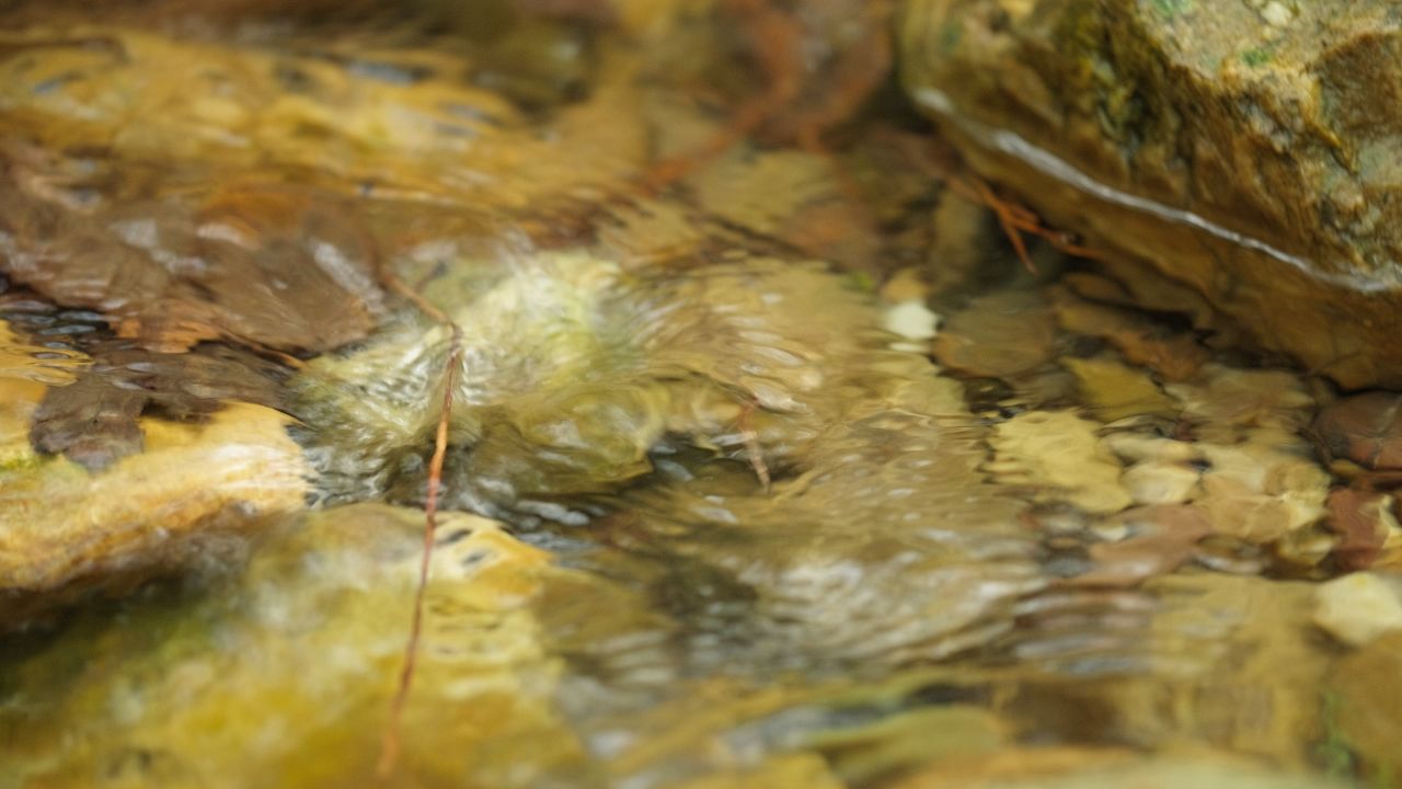 清澈山泉水温泉矿泉水小溪山涧 29