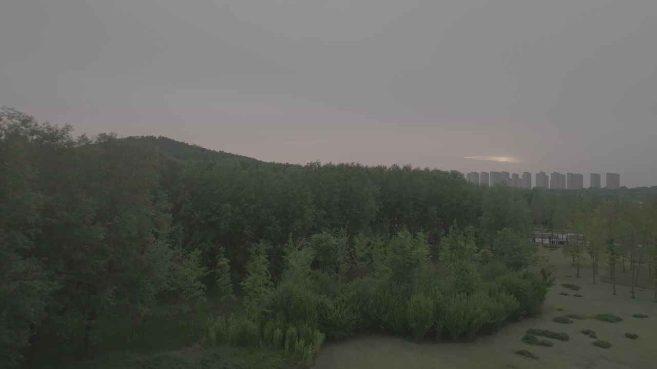 森林湖畔的城市剪影