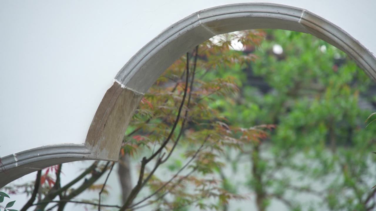 园林里的花花草草 24