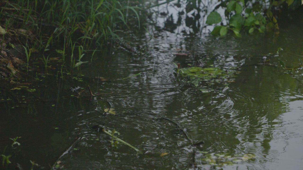 下雨清明谷雨酸雨倾盆大雨蒙蒙细雨 29