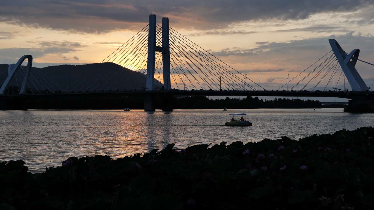 夕阳下的大桥 7