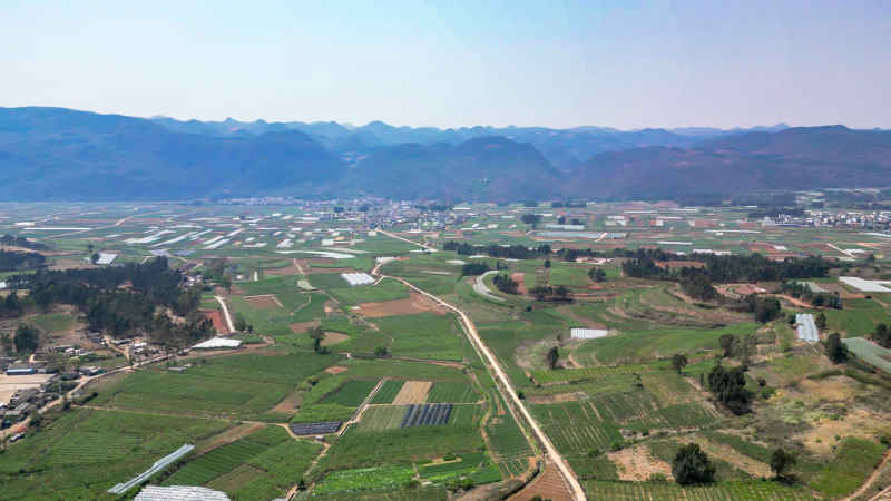 山川丘陵农田农业种植航拍图 