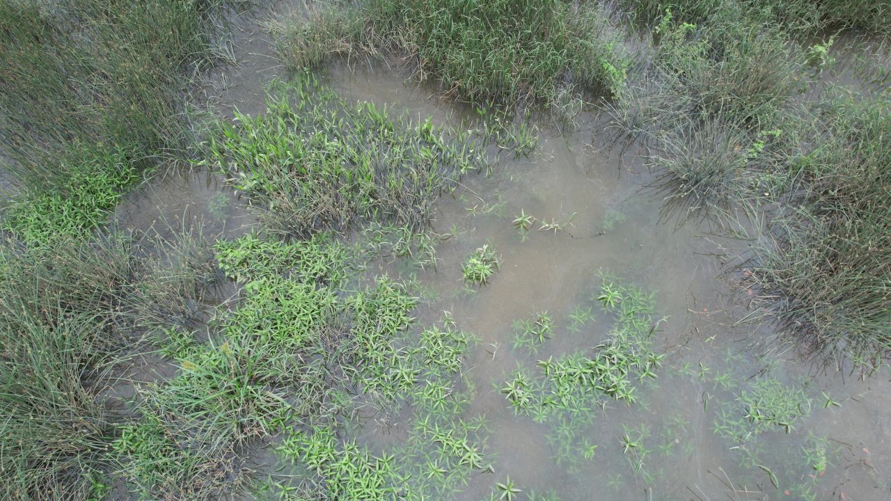 春天丰水期河岸航拍 3