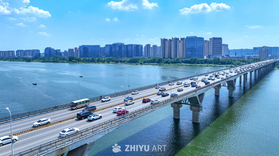 城市桥梁车流图