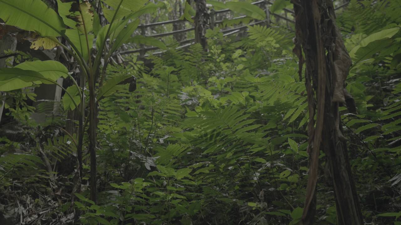 天坑 16
