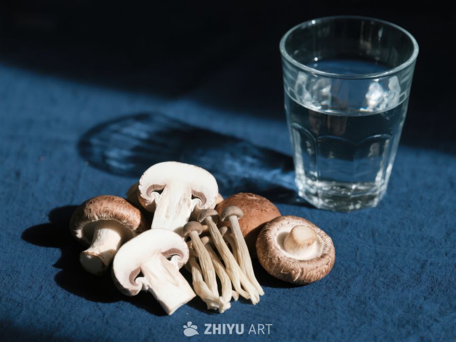 蘑菇与水杯静物图 223