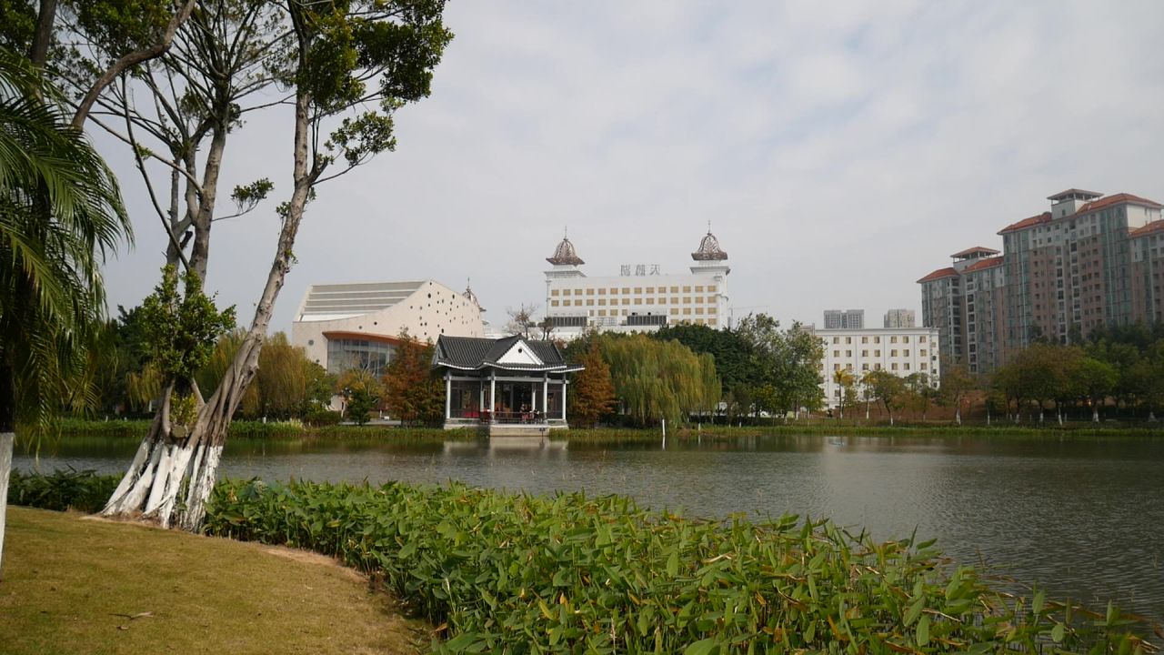 公园湖畔