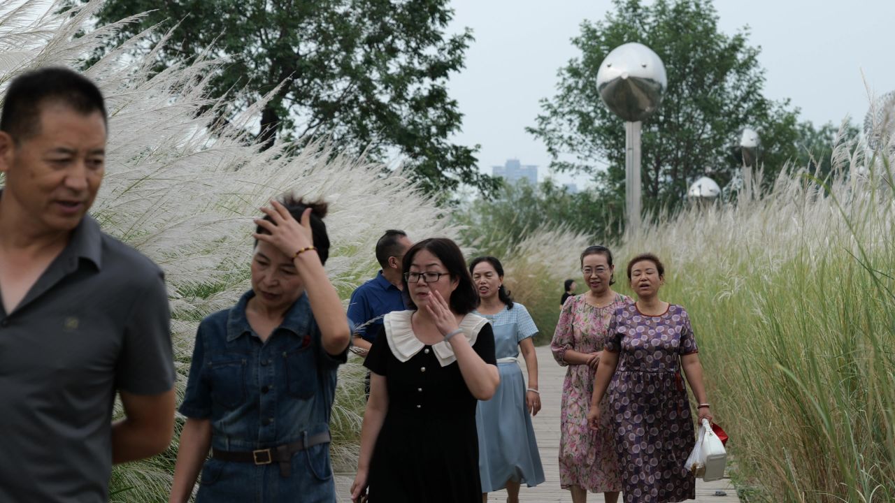 国庆江边芦苇荡 40