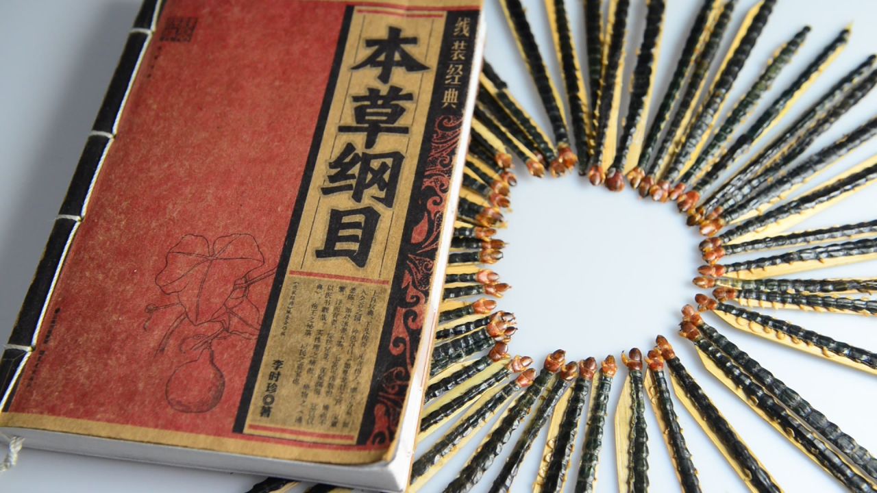 蜈蚣中药材 27