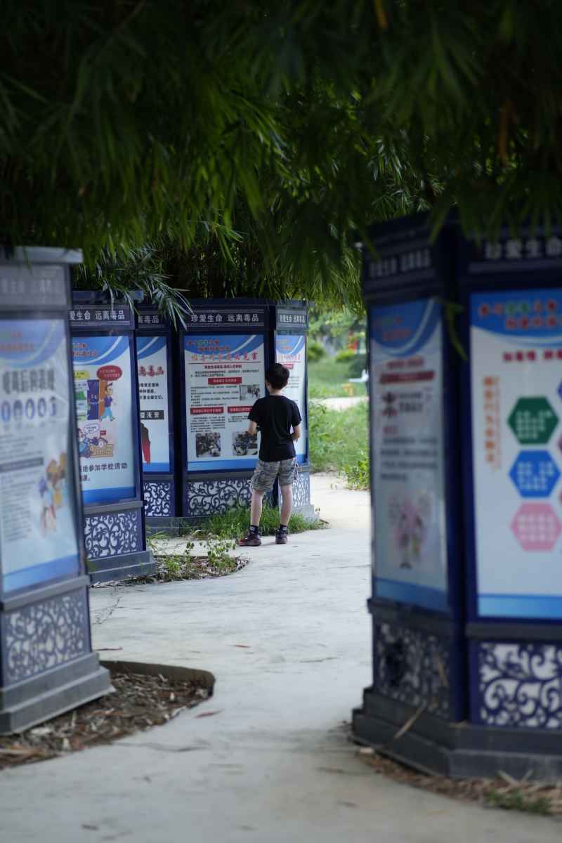 学习知识