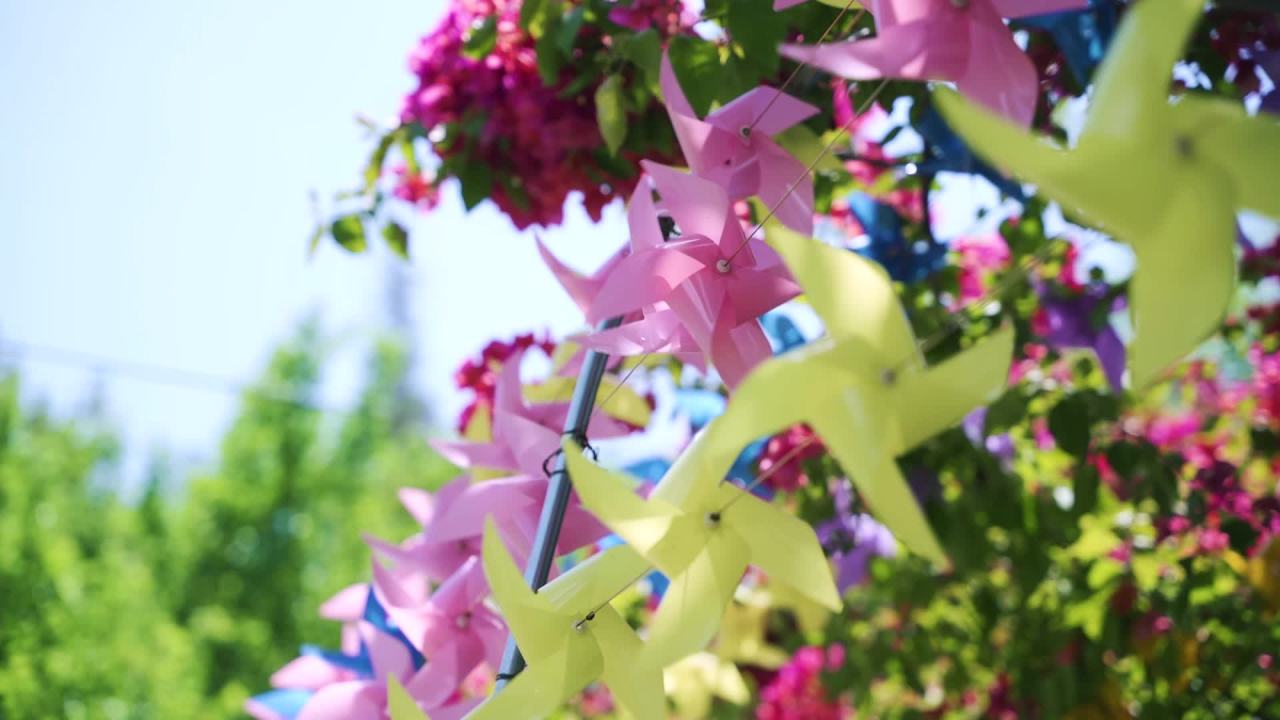 风车与花海的梦幻之旅