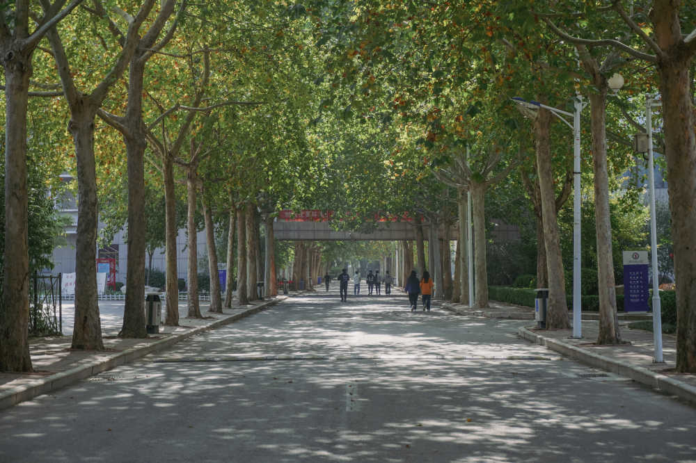 林中路