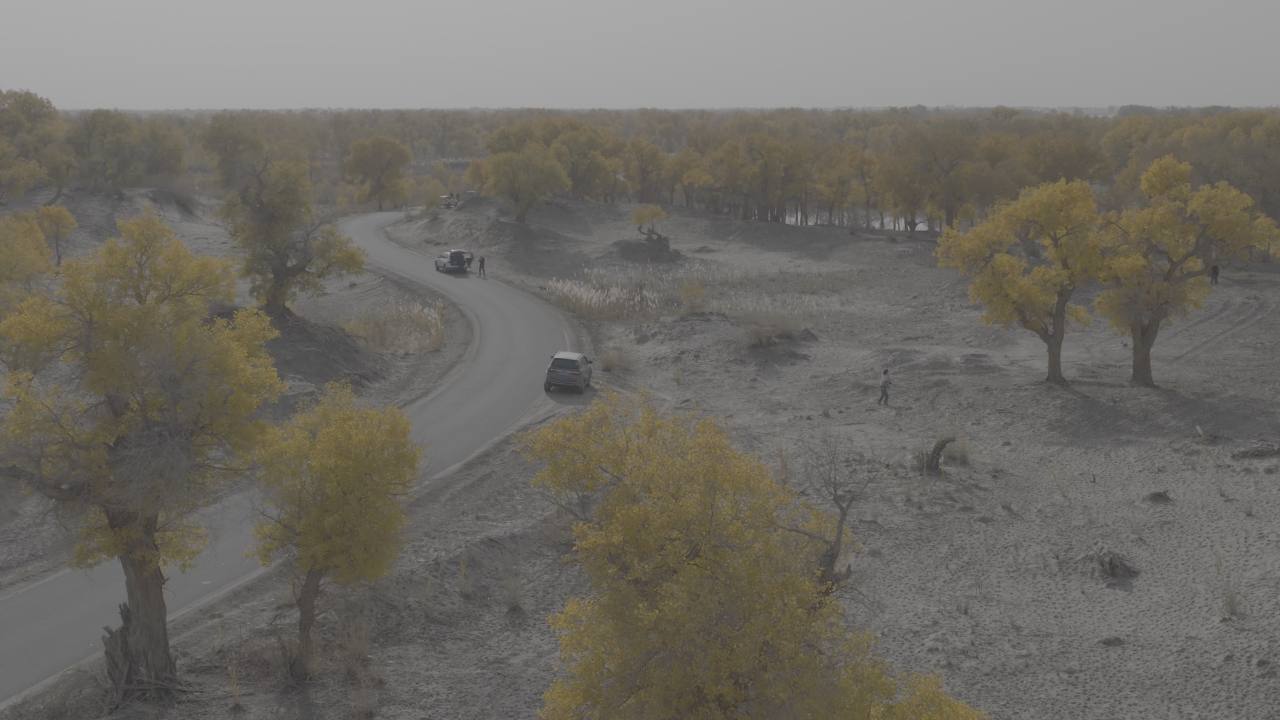 荒野秋景航拍：越野之旅