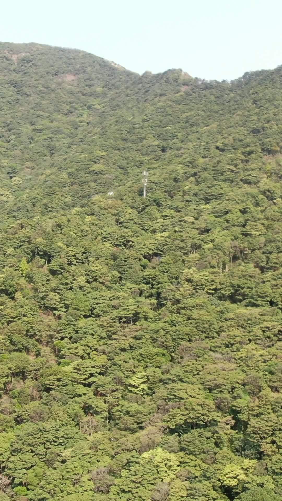 山间绿意盎然