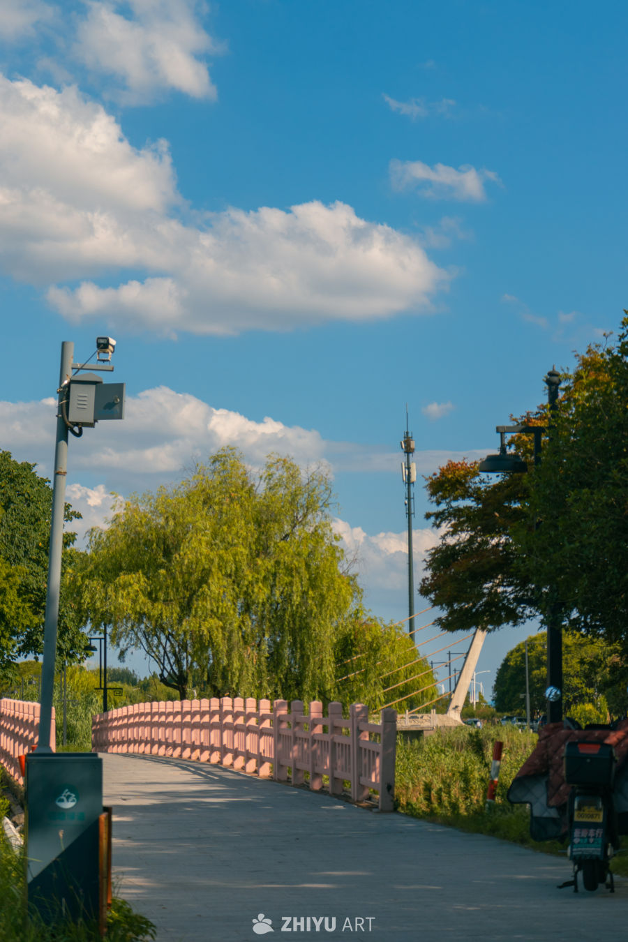 晴空下的静谧小径