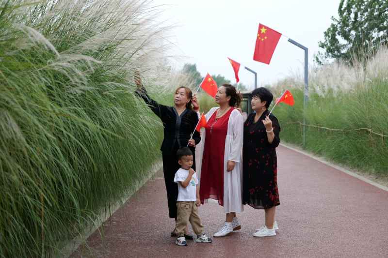 喜迎国庆 国庆 五星红旗迎风飘扬 人与自然 21