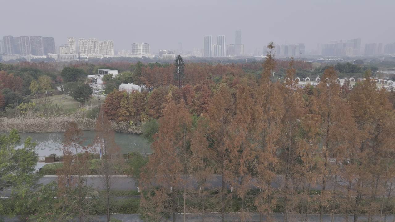 冬日的湿地 16