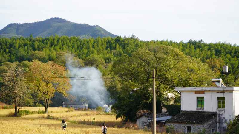 安徽宏村、木坑竹海、塔川秋色、呈坎八卦 50