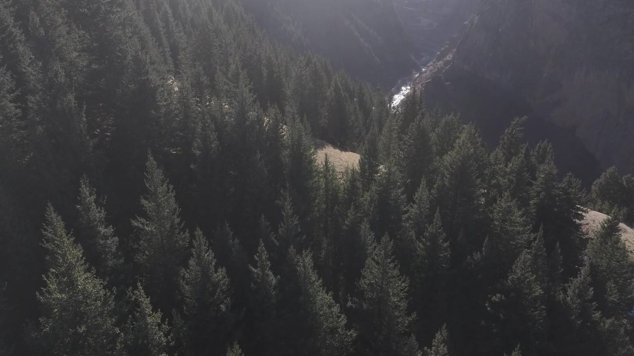 壮观森林峡谷全景航拍