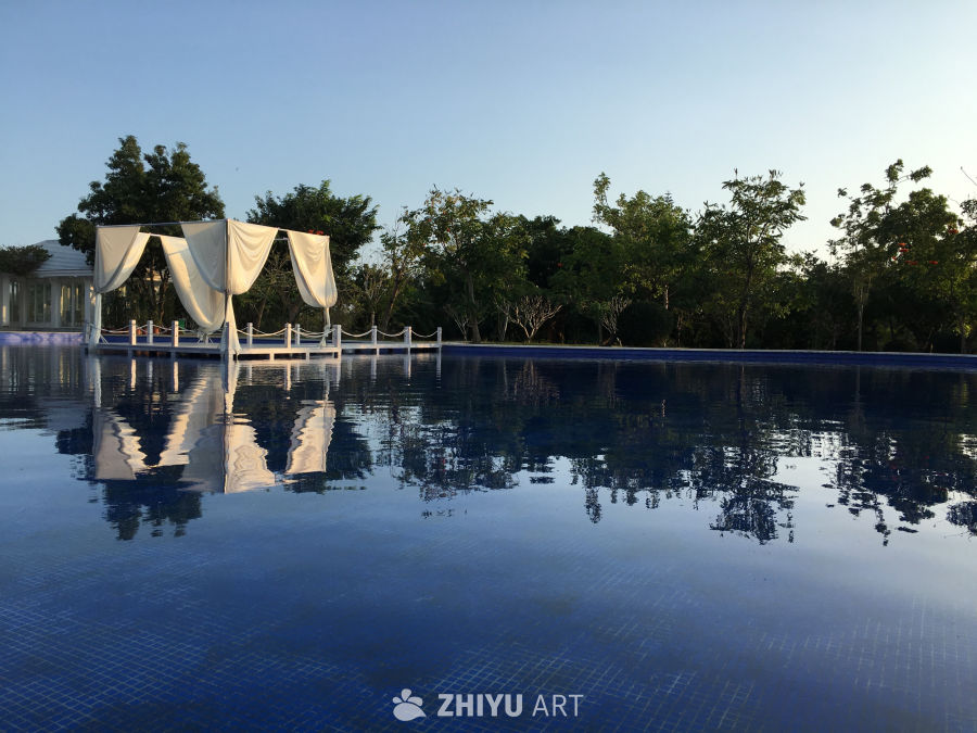 泳池边的宁静时光