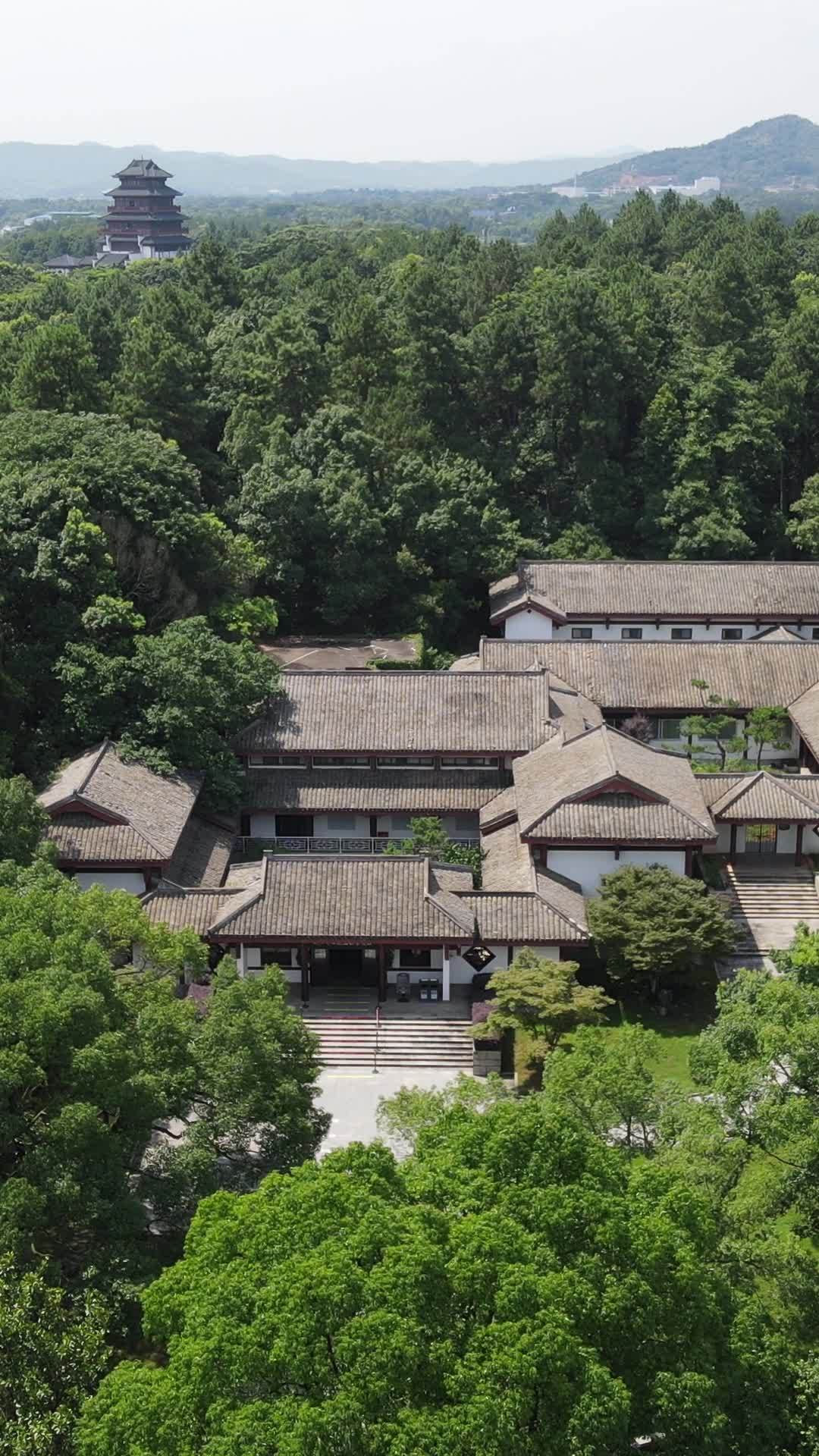古韵森林中的静谧时光
