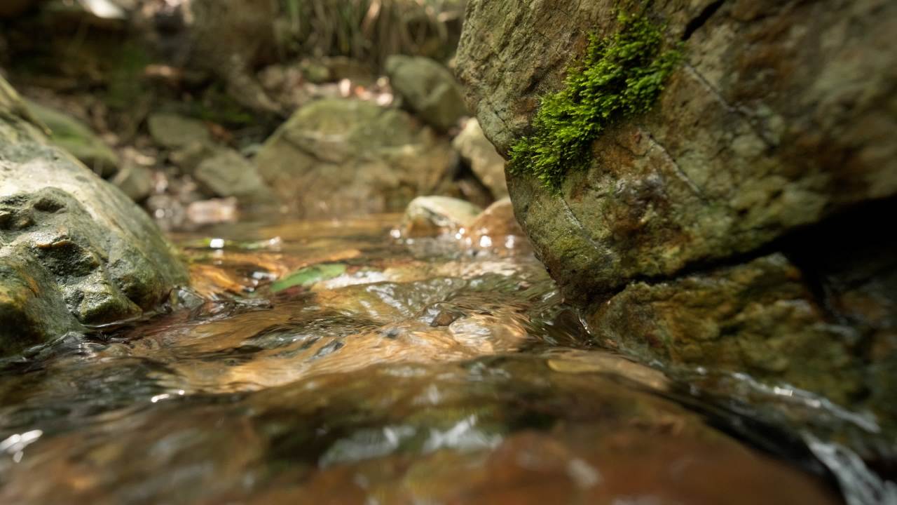 山泉水矿泉水潺潺小溪流水瀑布 33