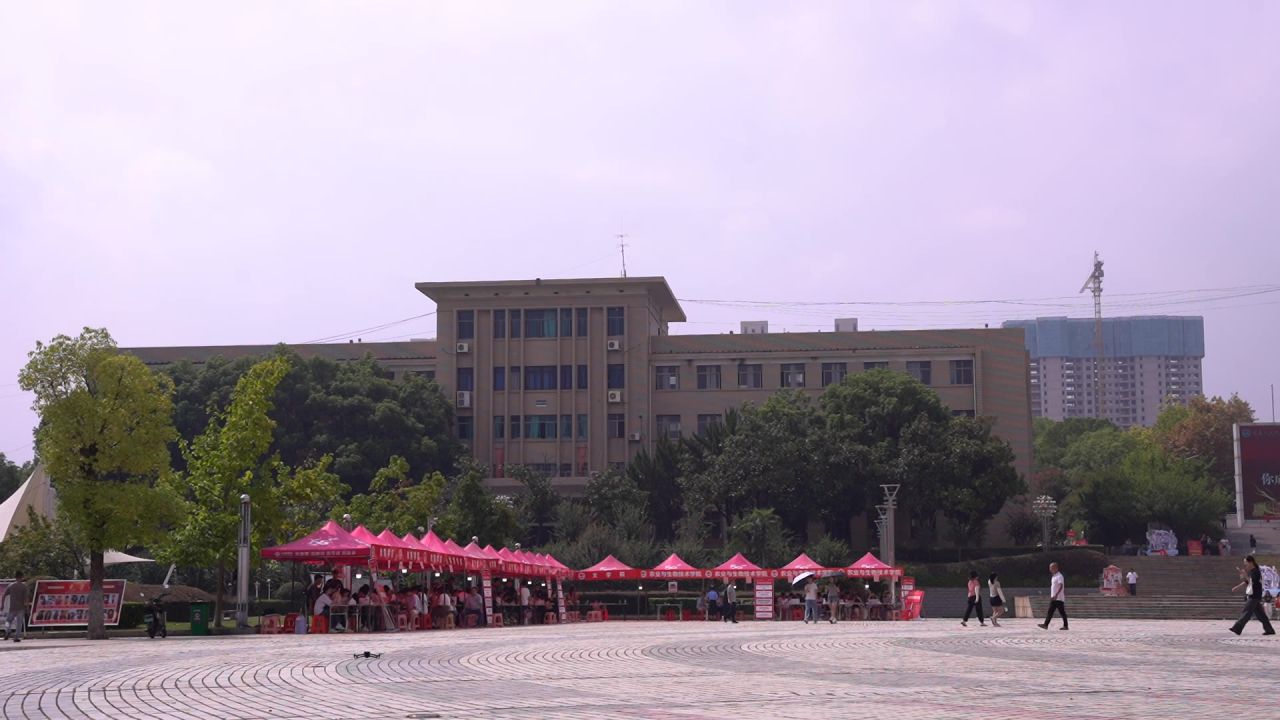 大学 13