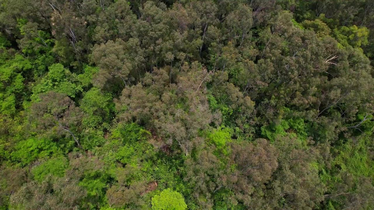 航拍绿色山林景观