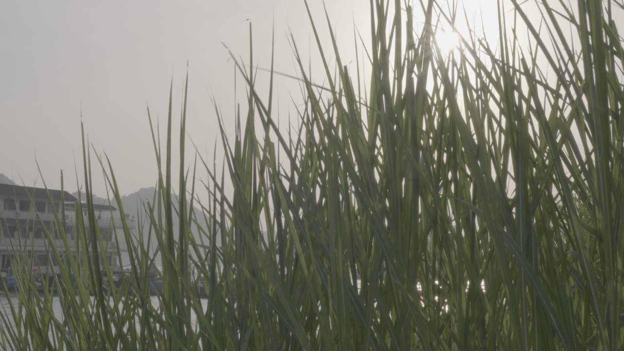宜昌江边 39