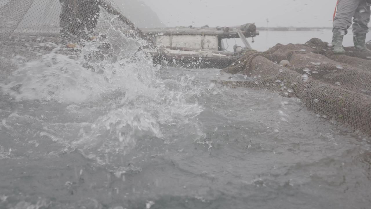 渔民捞鱼作业场景