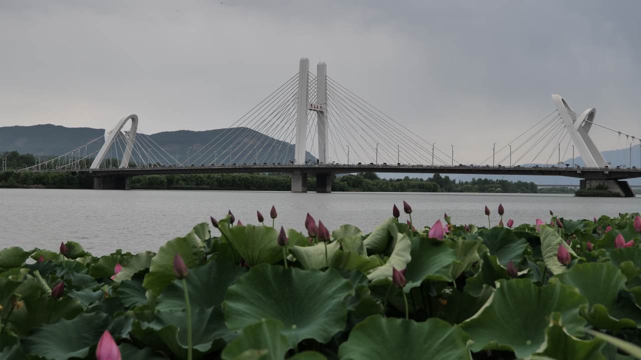 美丽的大桥 2