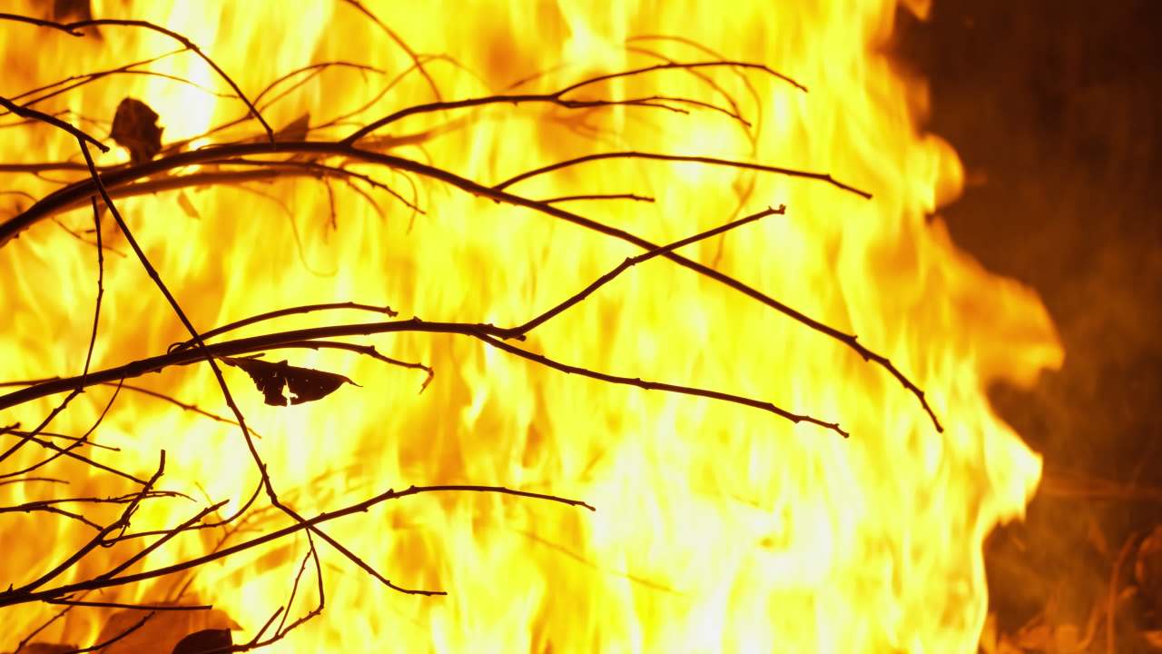 燃烧的木炭柴火篝火 42