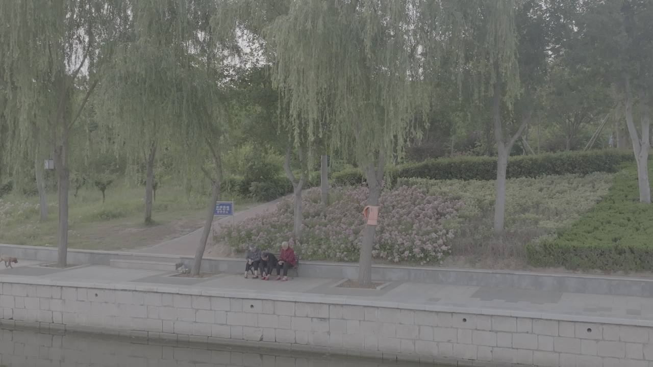 公园悠闲时光