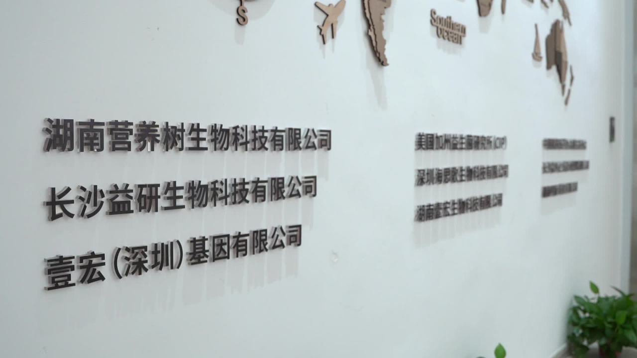 公司 26