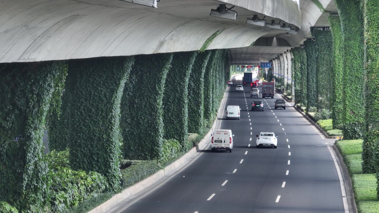 城市森林隧道