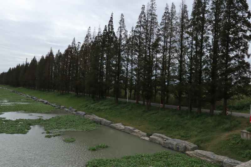 长荡湖湖畔风光