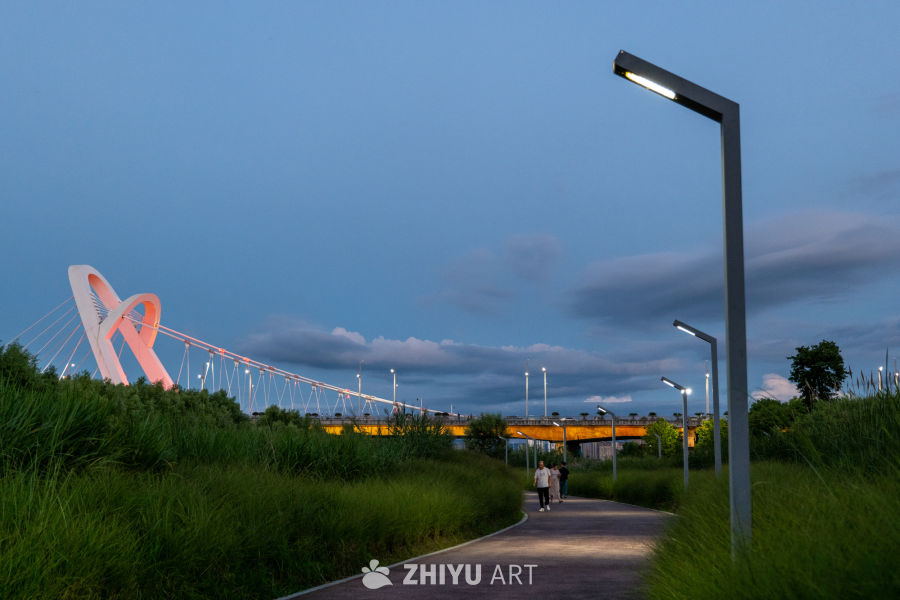 夜景下的城市大桥 38