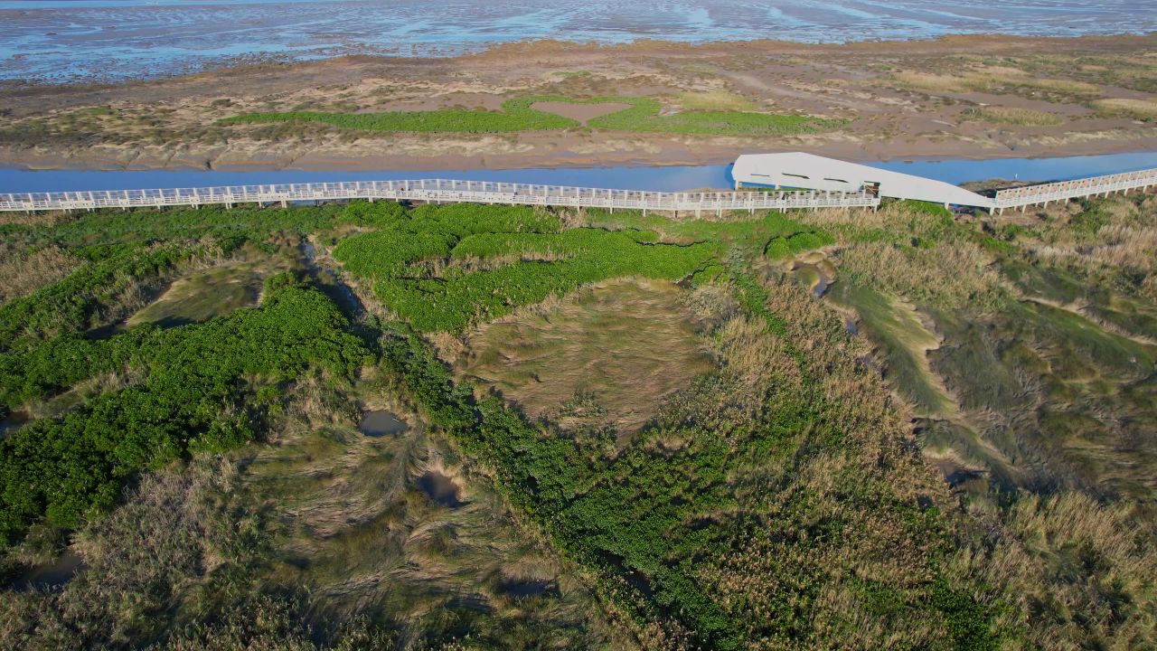 航拍福州闽江河口湿地公园 3