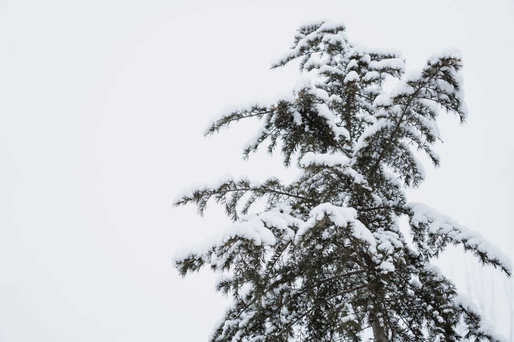 雪景